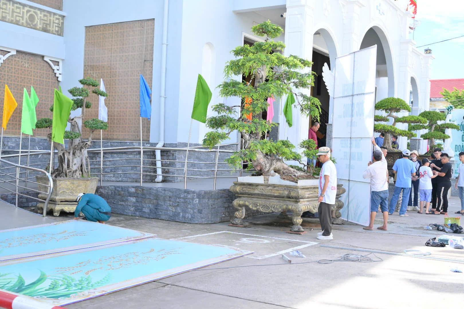 Photo-6