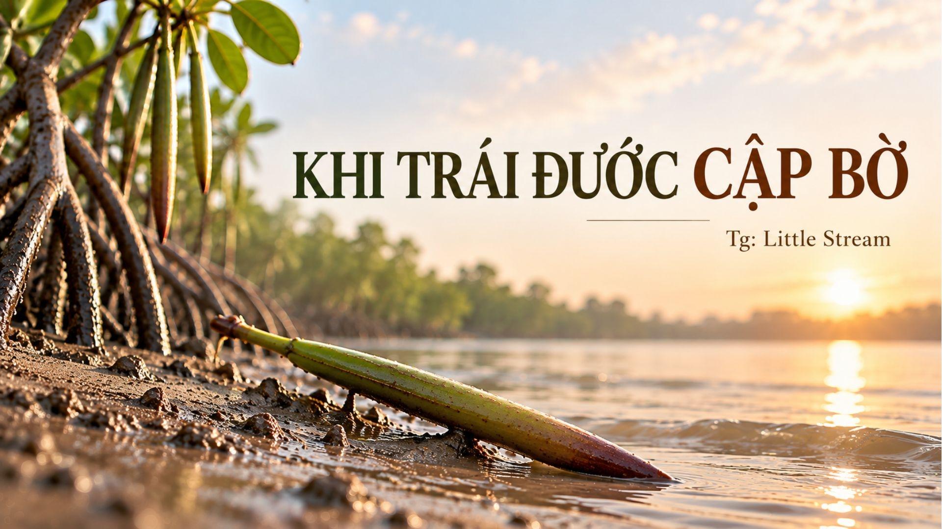 Khi trái đước cập bờ